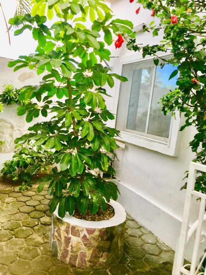 Residence Archange بوانت نوار المظهر الخارجي الصورة